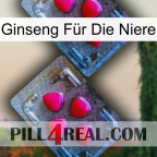 Ginseng Für Die Niere 14